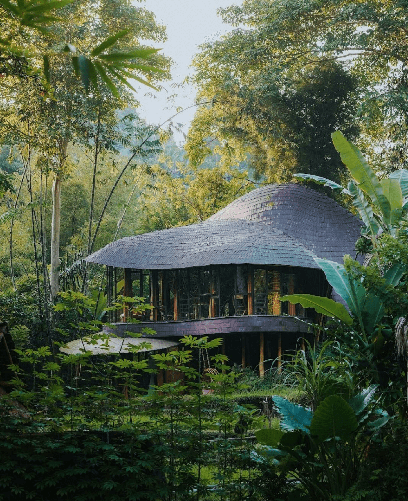 Screenshot 2024-03-04 at 16.46.57