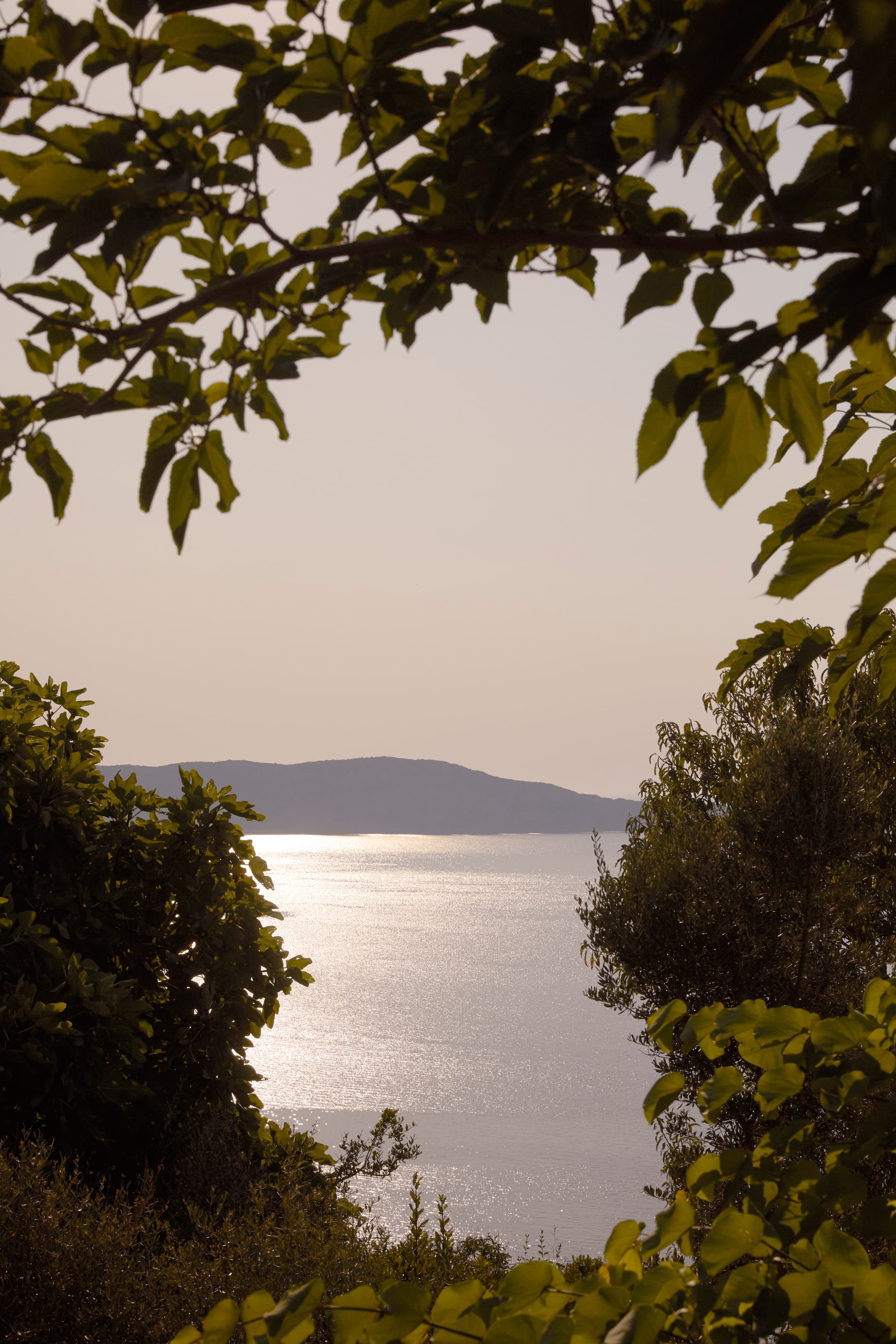 TLC Costa Navarino 82